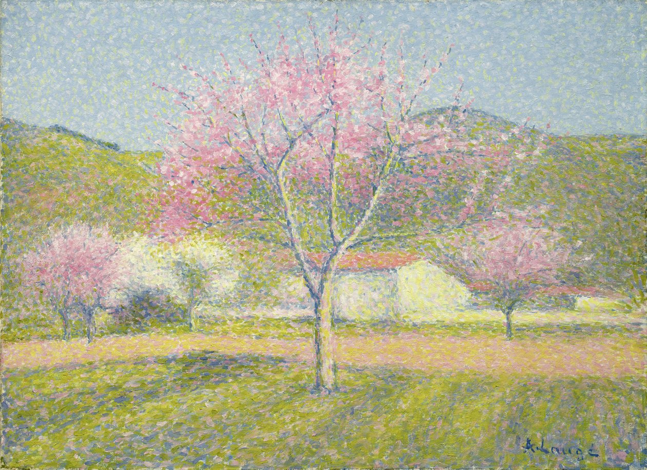 Orchard in Springtime, Apple Trees in Bloom, 1920-29 körül (olaj, pamut) alkotó: Achille Lauge