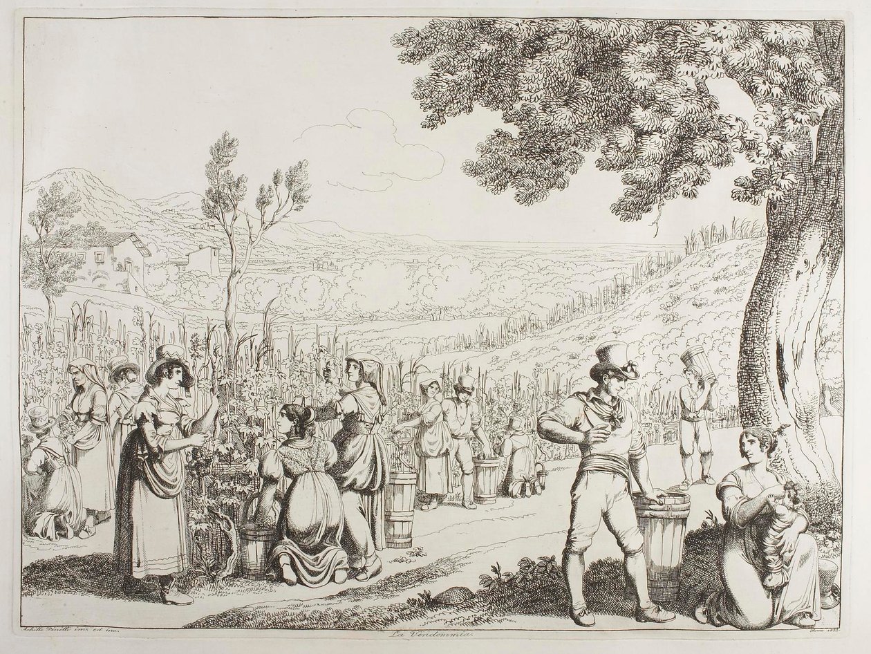 Szüret alkotó: Achille Pinelli