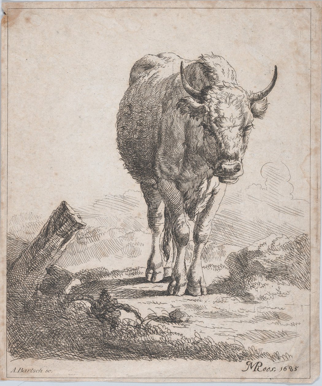 Egy tehén elölről nézve, 1805. alkotó: Adam von Bartsch