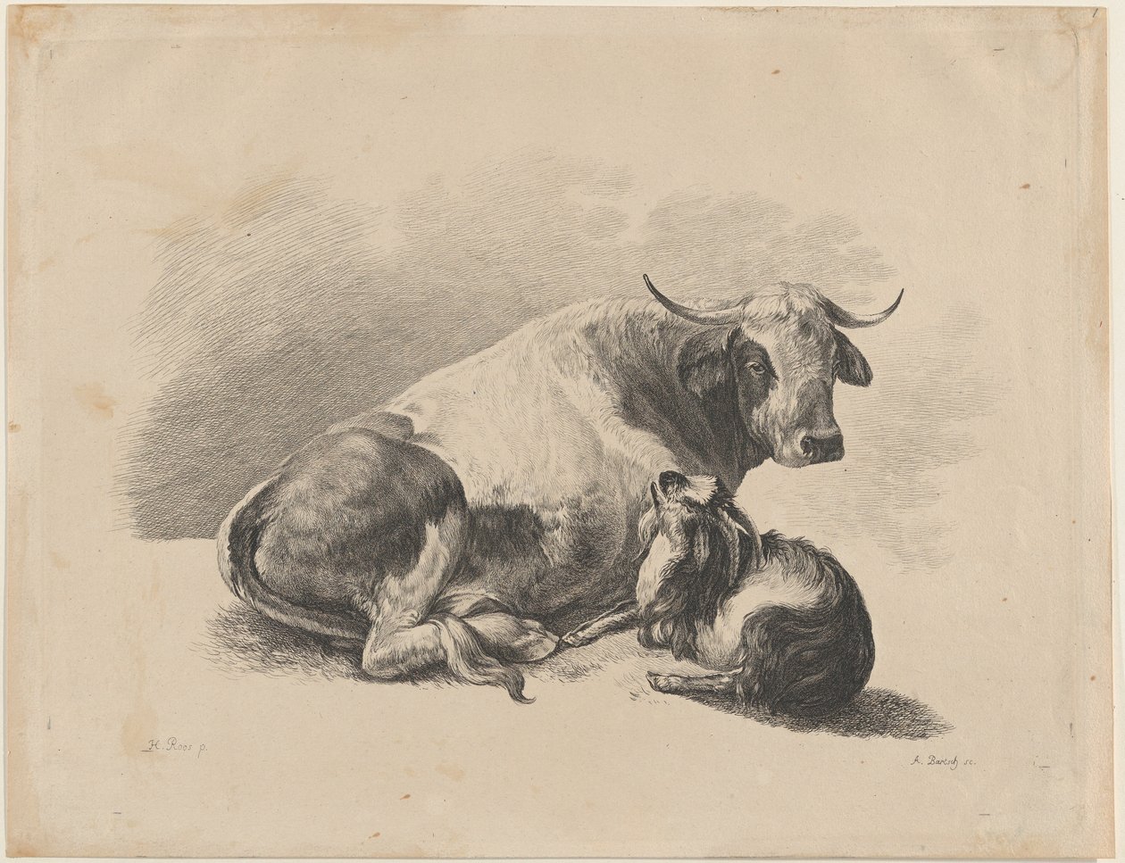 Tehén és kecske fekve, 1800-01. alkotó: Adam von Bartsch