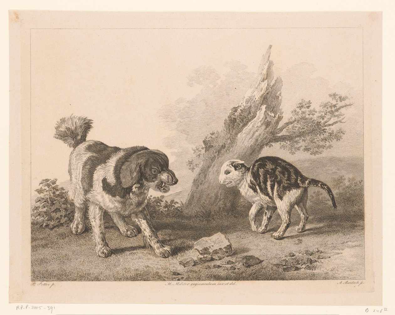 Kutya és macska harci állásban egymás ellen Állatok holland mesterek festményei után (sorozat címe) Différens animaux graves d