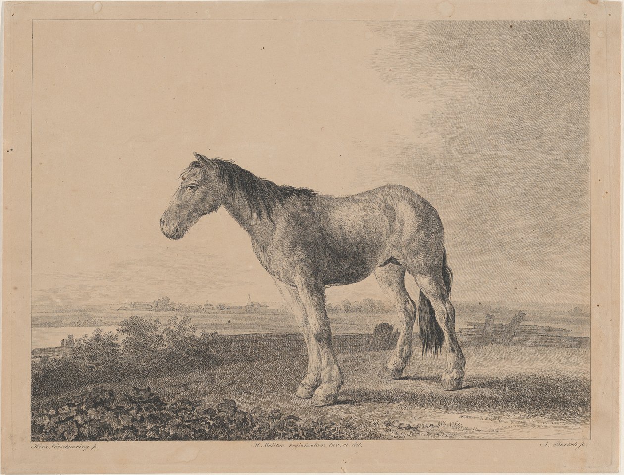 A mezőn álló ló profilban balra, 1809. alkotó: Adam von Bartsch