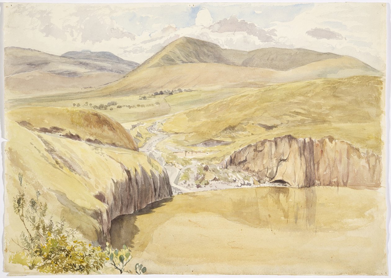 Alberea, Santiago del Valle közelében, Guanajuato, Mexikó (akvarell) alkotó: Adela Breton