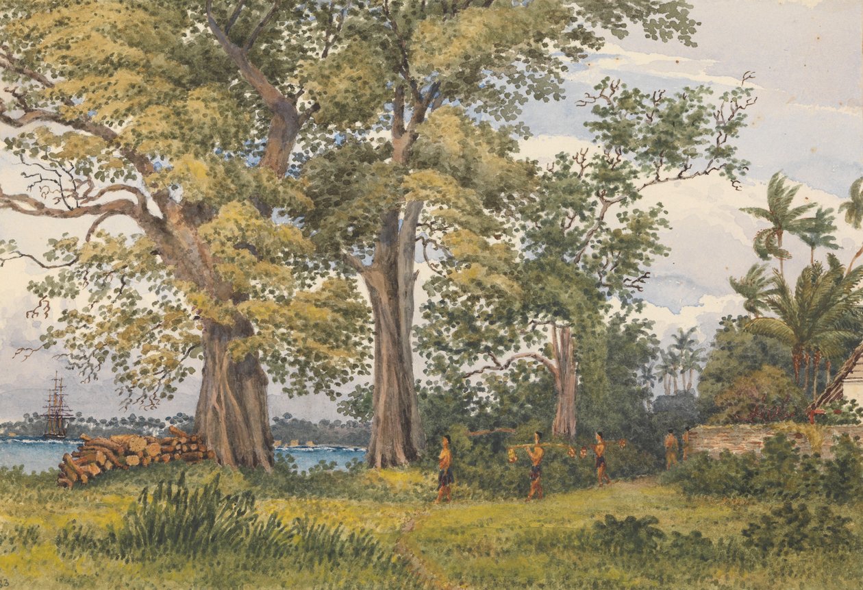 "Apia Bay, Upolu, Navigators Islands, [Samoa] from verandah of my sick quarters, Novr 6th 1849