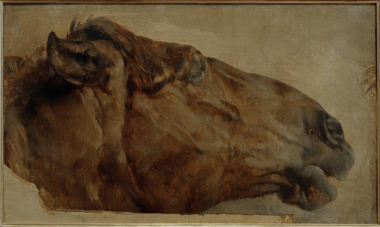 Lótanulmány. Haladjon oldalnézetben jobbra alkotó: Adolph Menzel
