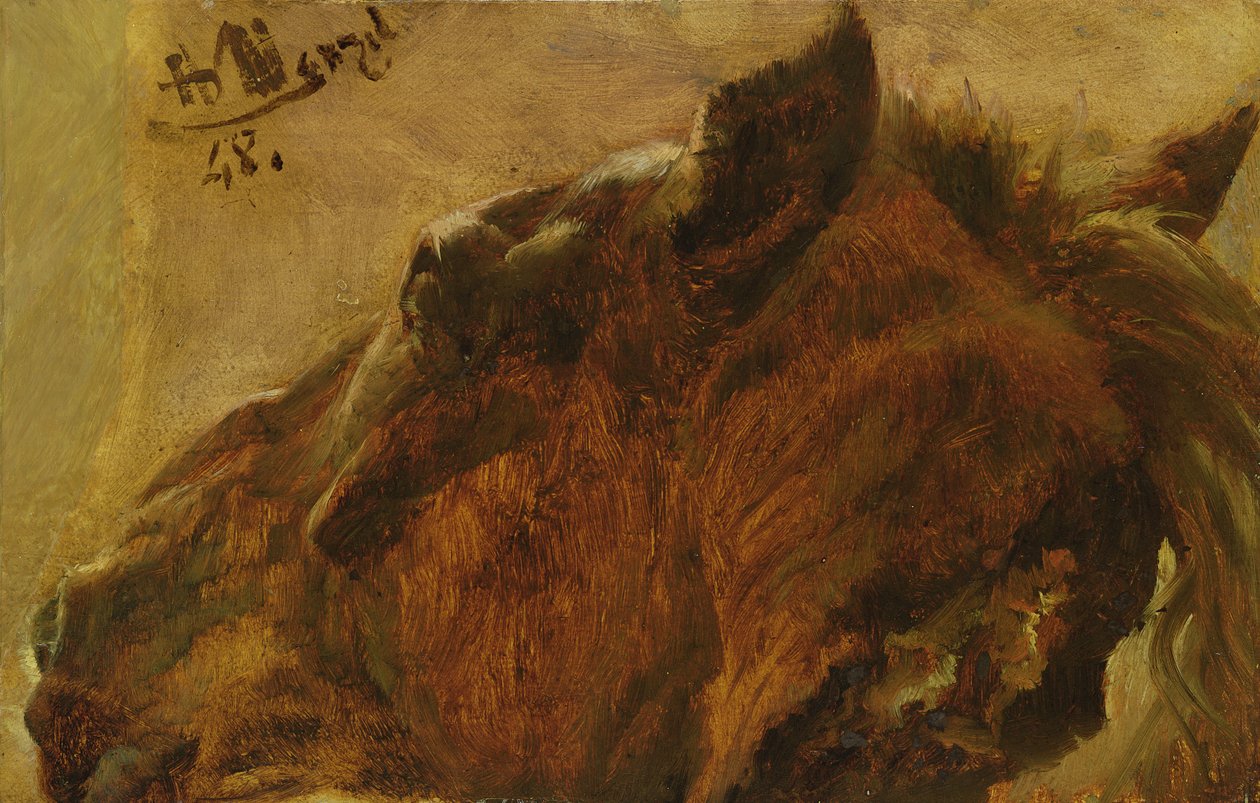 Döglött ló feje, 1848 (olaj, papír, vászonra festve) alkotó: Adolph Menzel