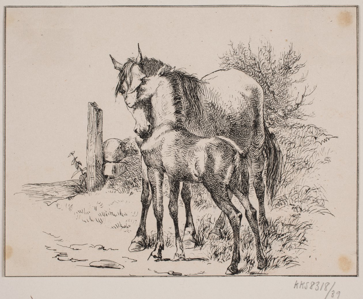 A ló és a csikó alkotó: Johan Adolph Kittendorff