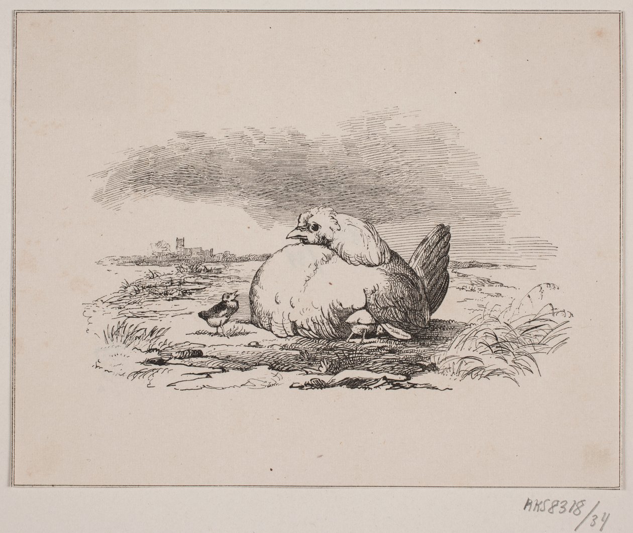 A csirkék alkotó: Johan Adolph Kittendorff
