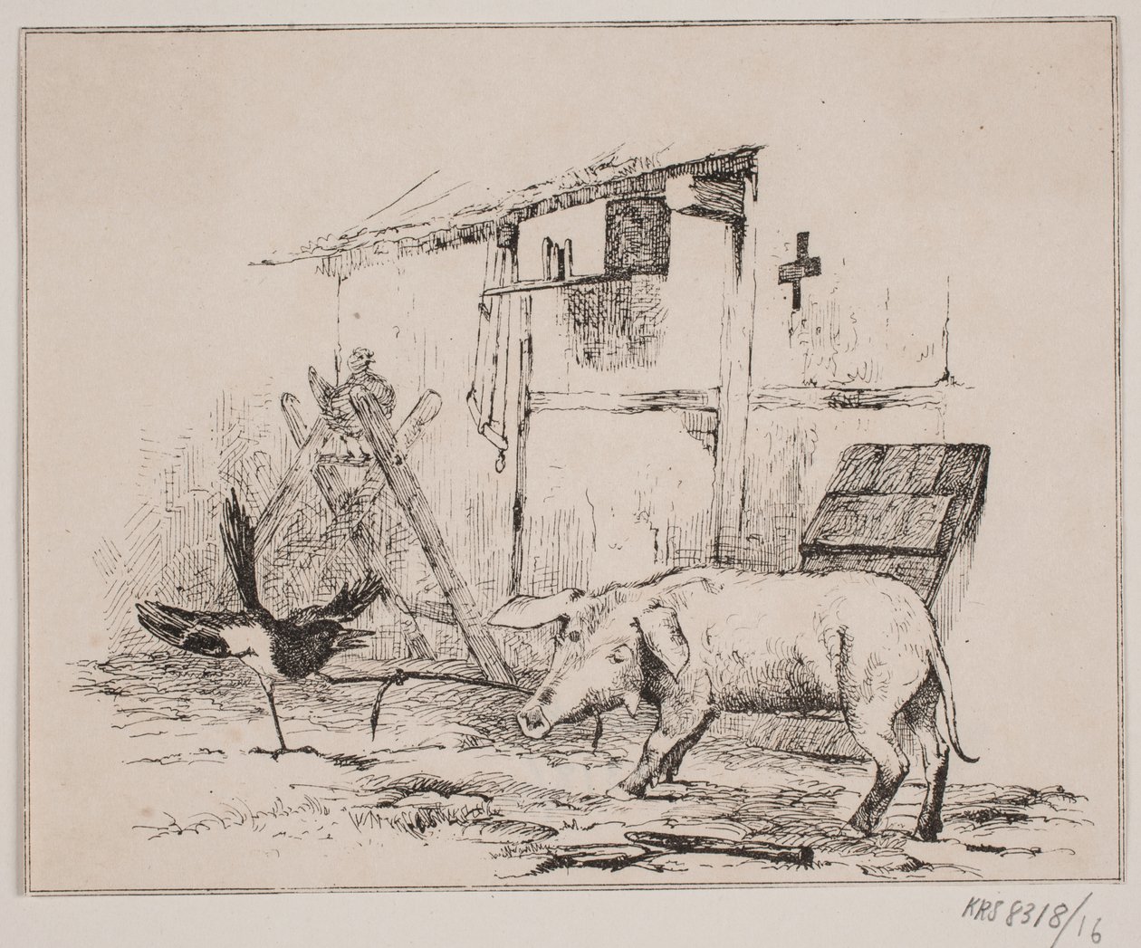 A sérülés és a disznó alkotó: Johan Adolph Kittendorff