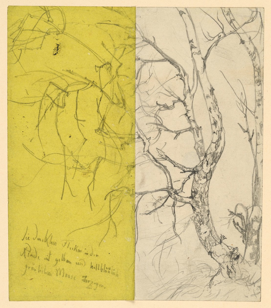 Birkenbusch alkotó: Adolph Menzel