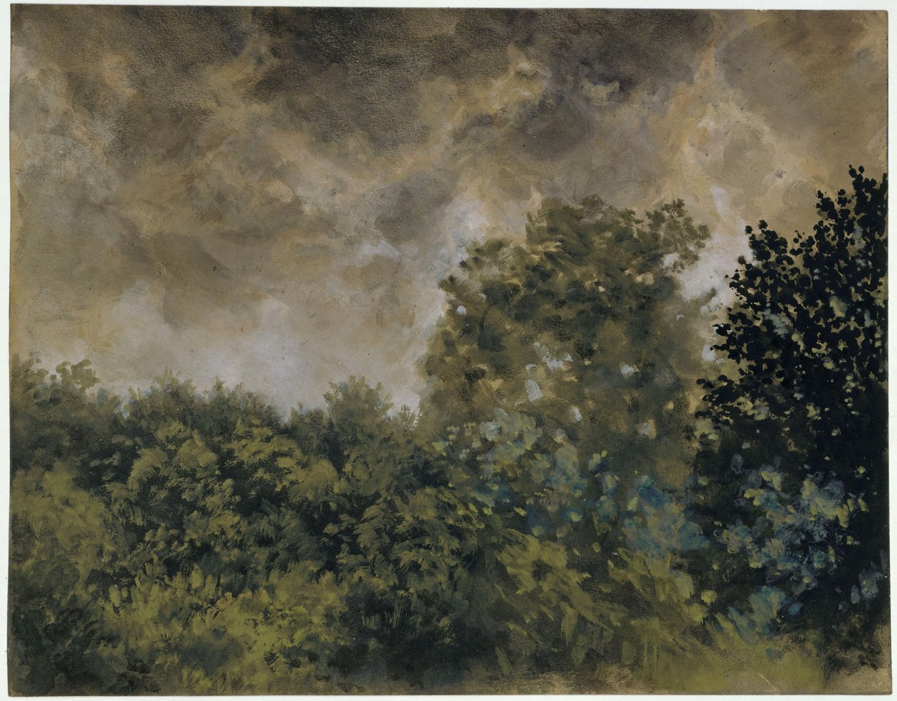 Kilátás a lombos erdőre alkotó: Adolph Menzel