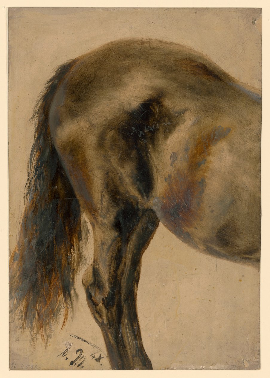 Egy ló hátsó része profilból alkotó: Adolph Menzel