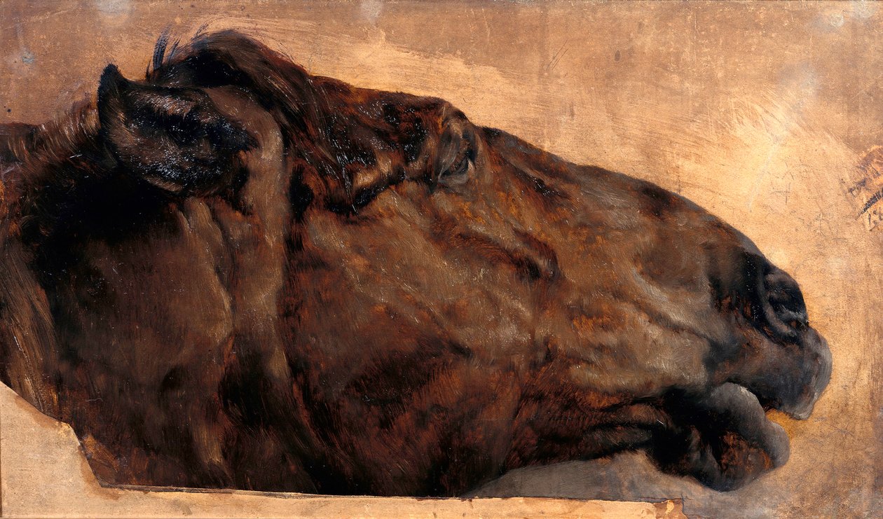 Lóábrázolás. A fej oldalnézetben jobbra alkotó: Adolph Menzel