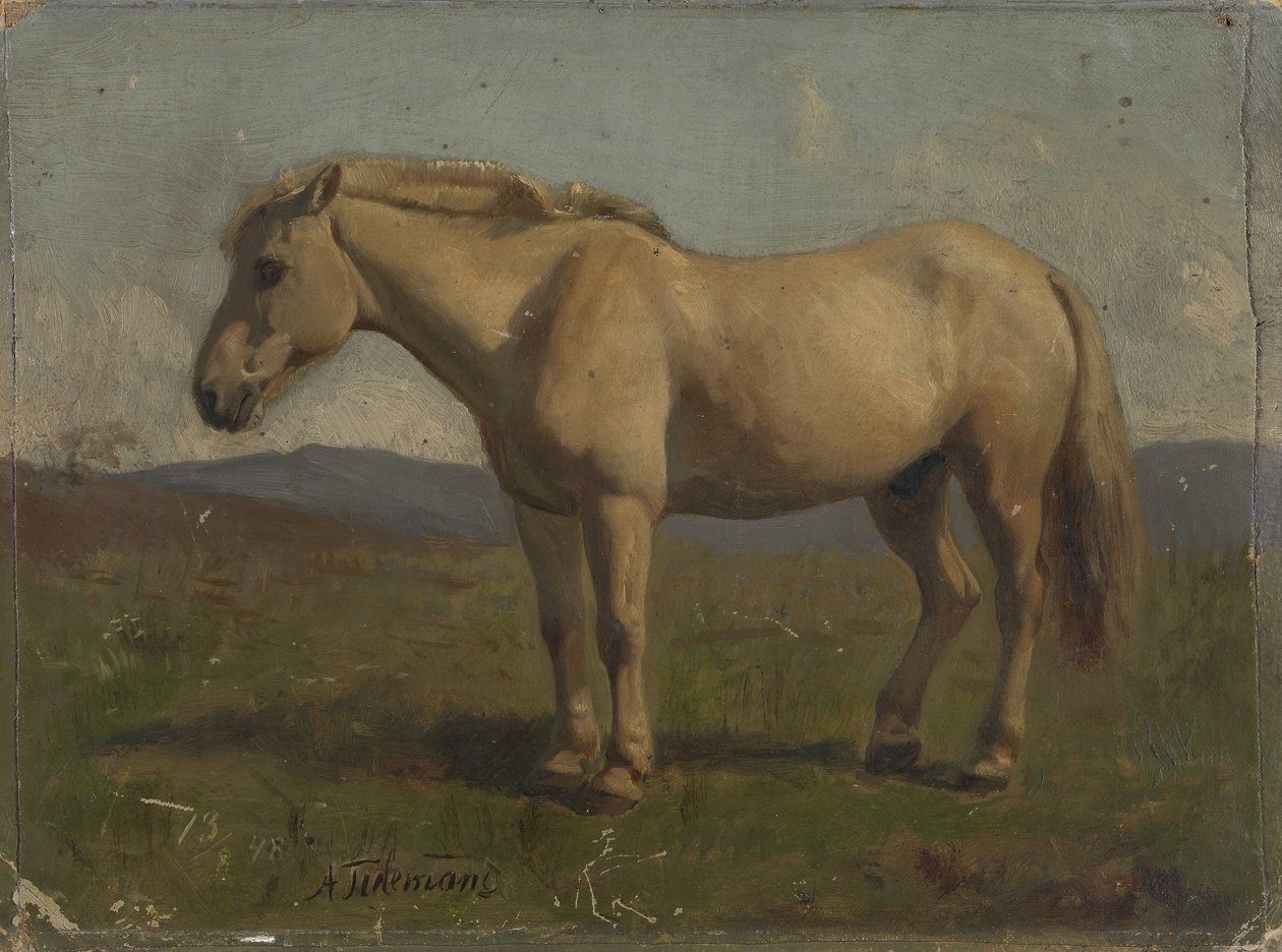 Egy szürkésbarna ló alkotó: Adolph Tidemand