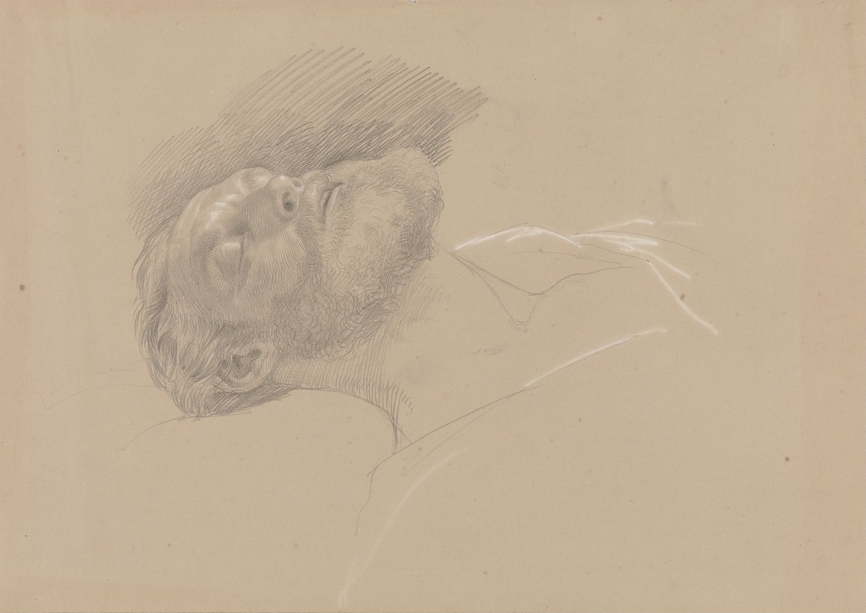 Håkon Jarl alkotó: Adolph Tidemand