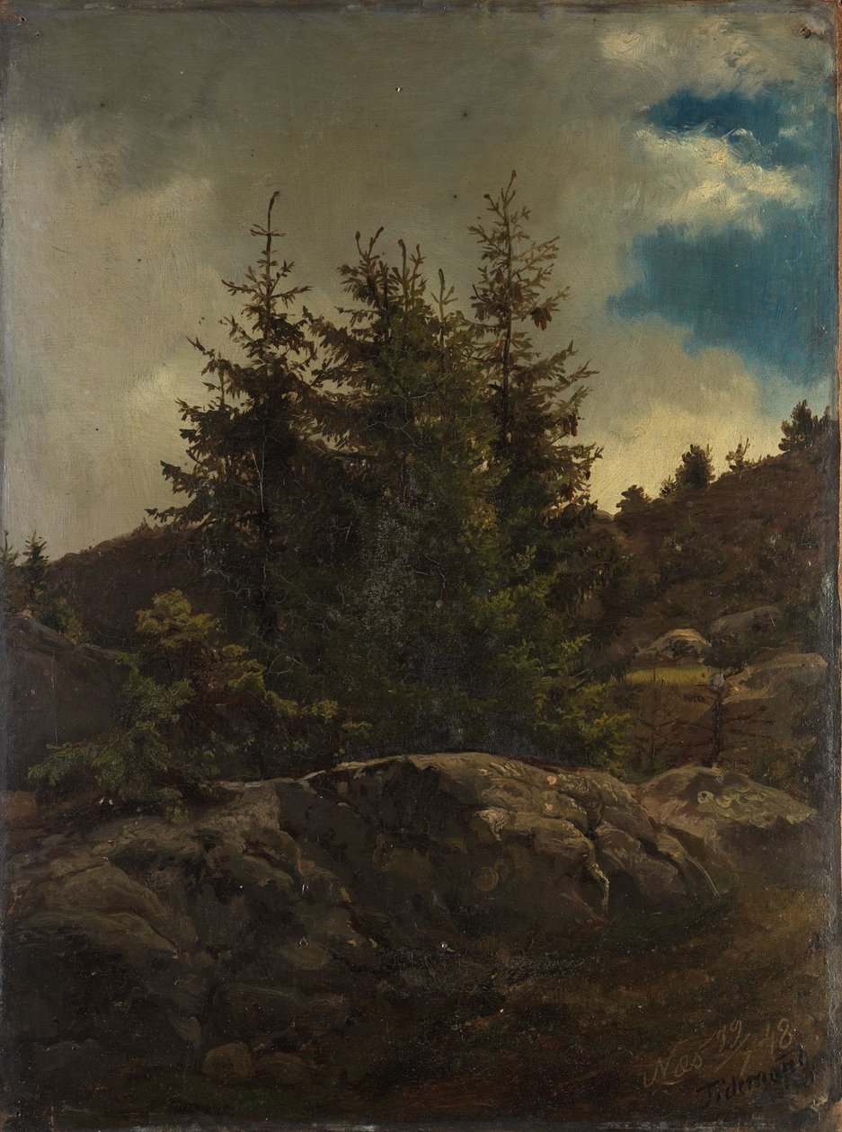 Táj Nesből, Hallingdalban alkotó: Adolph Tidemand