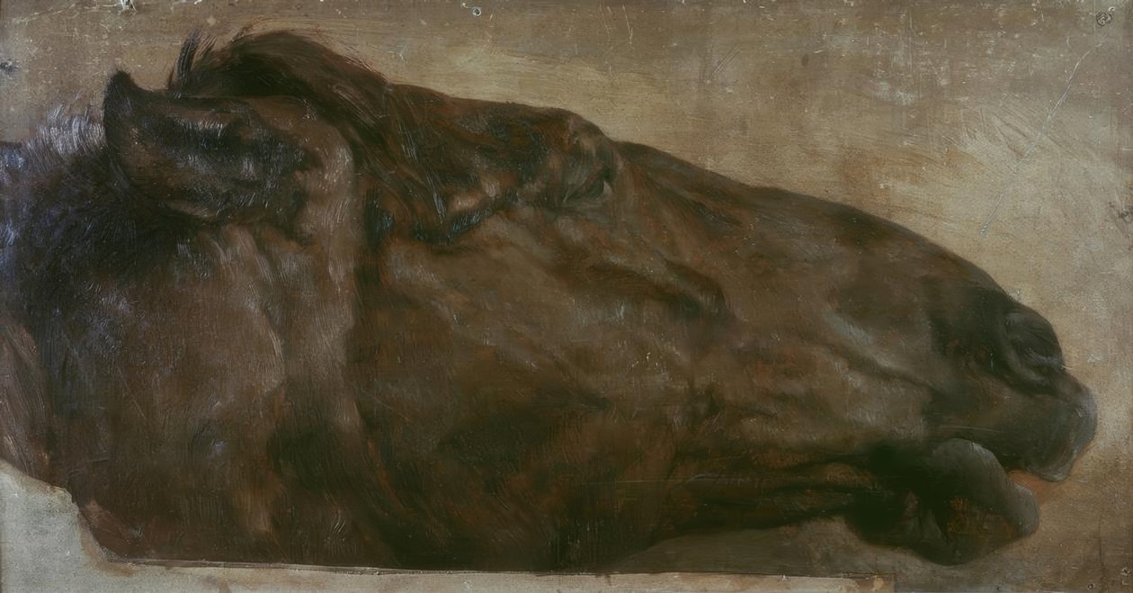 Lótanulmány. Haladjon oldalnézetben jobbra alkotó: Adolph Menzel