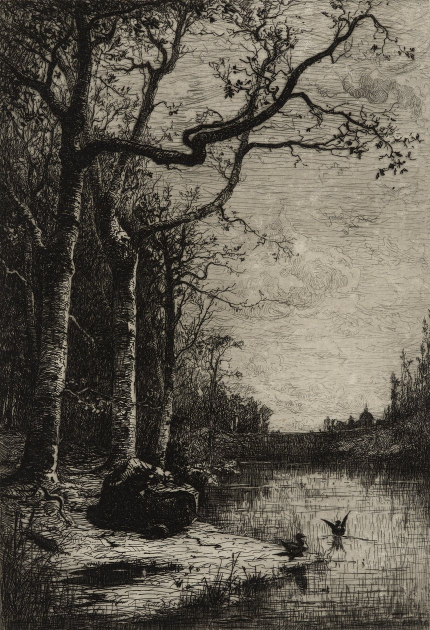 A Burbanche-láp (nagy lemez), 1870 körül (rézkarc) alkotó: Adolphe Appian