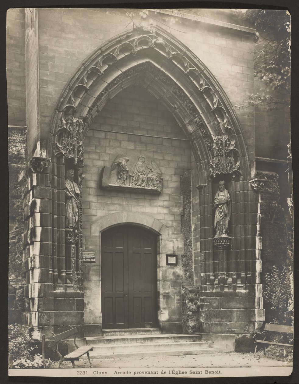 Cluney alkotó: Adolphe Braun