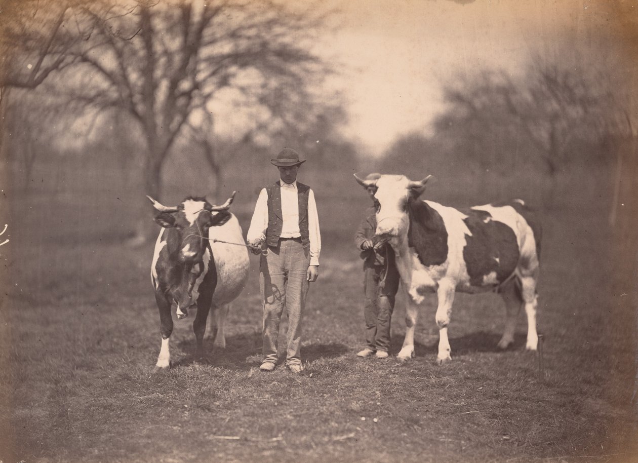 Landscape,c. 1864 (fotó) alkotó: Adolphe Braun