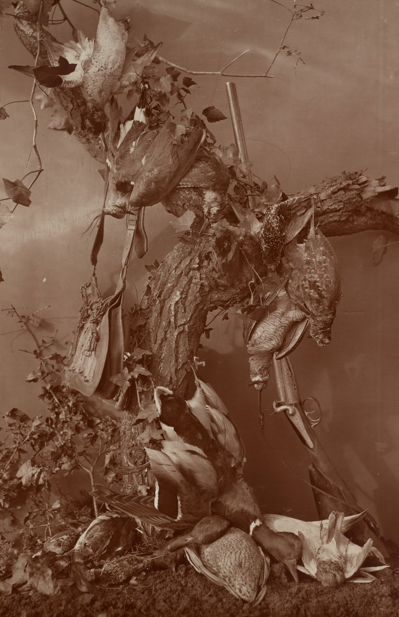 [Still Life: Dead Game] alkotó: Adolphe Braun