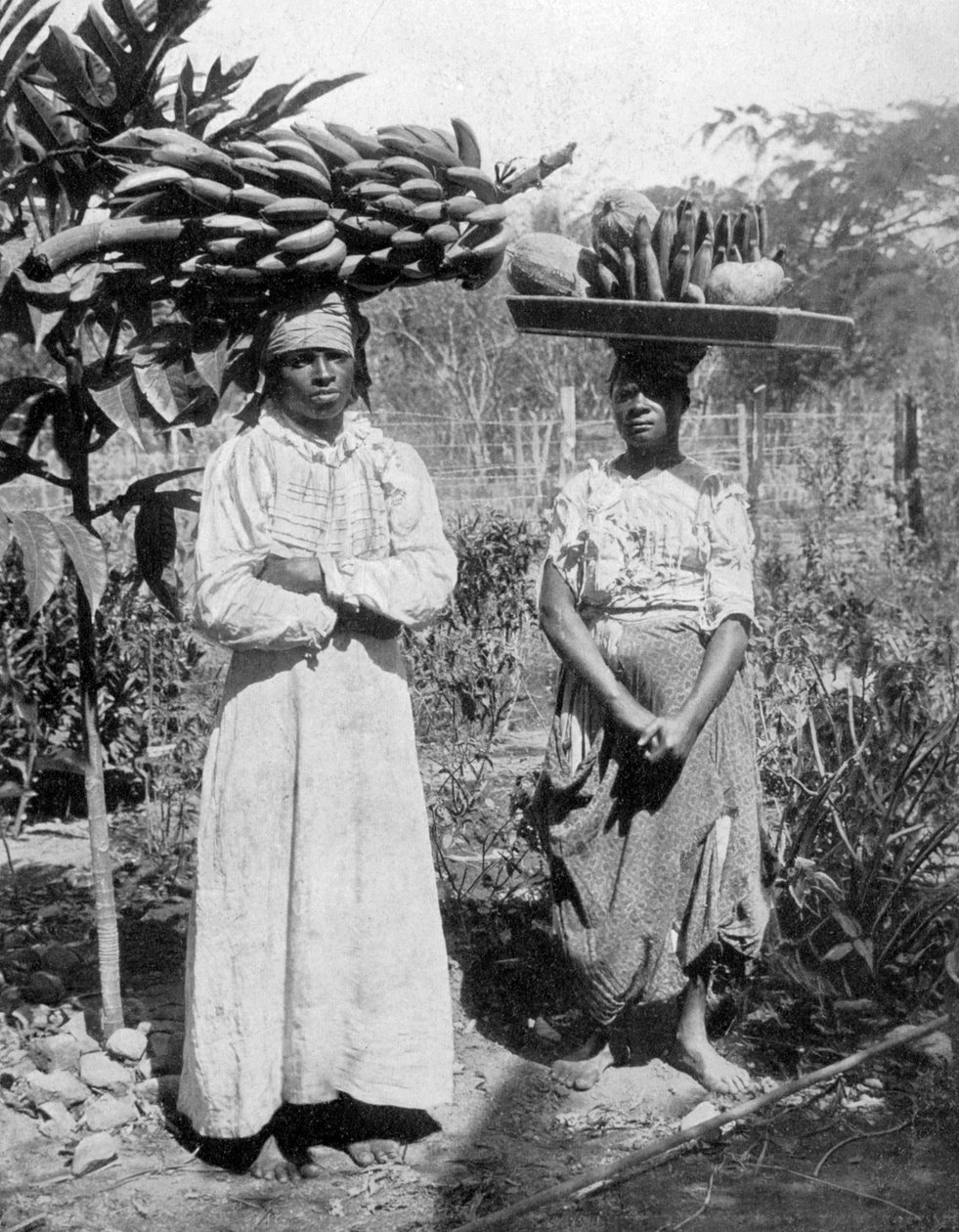 Gyümölcsárusok, Jamaica, c1905 alkotó: Adolphe Duperly and Son