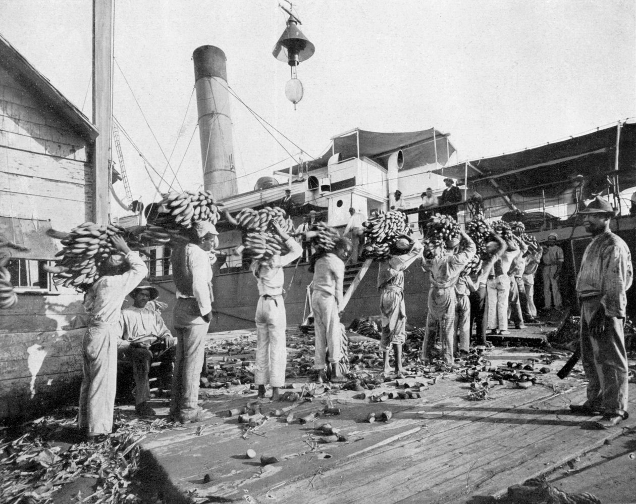 Banán betöltése, Port Antonio, Jamaica, c1905. alkotó: Adolphe Duperly and Son