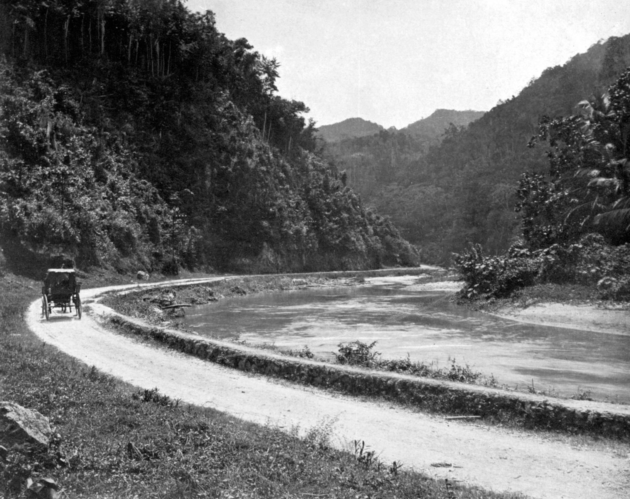 Road to Bog Walk, Jamaica, 1905. alkotó: Adolphe Duperly and Son