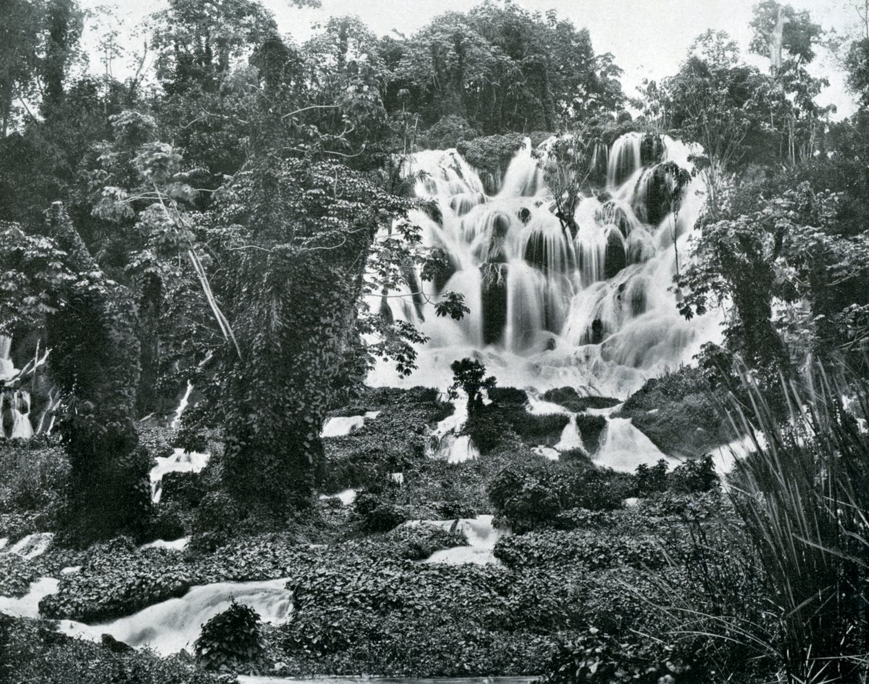 Roaring River Falls, Jamaica, 1905. alkotó: Adolphe Duperly and Son