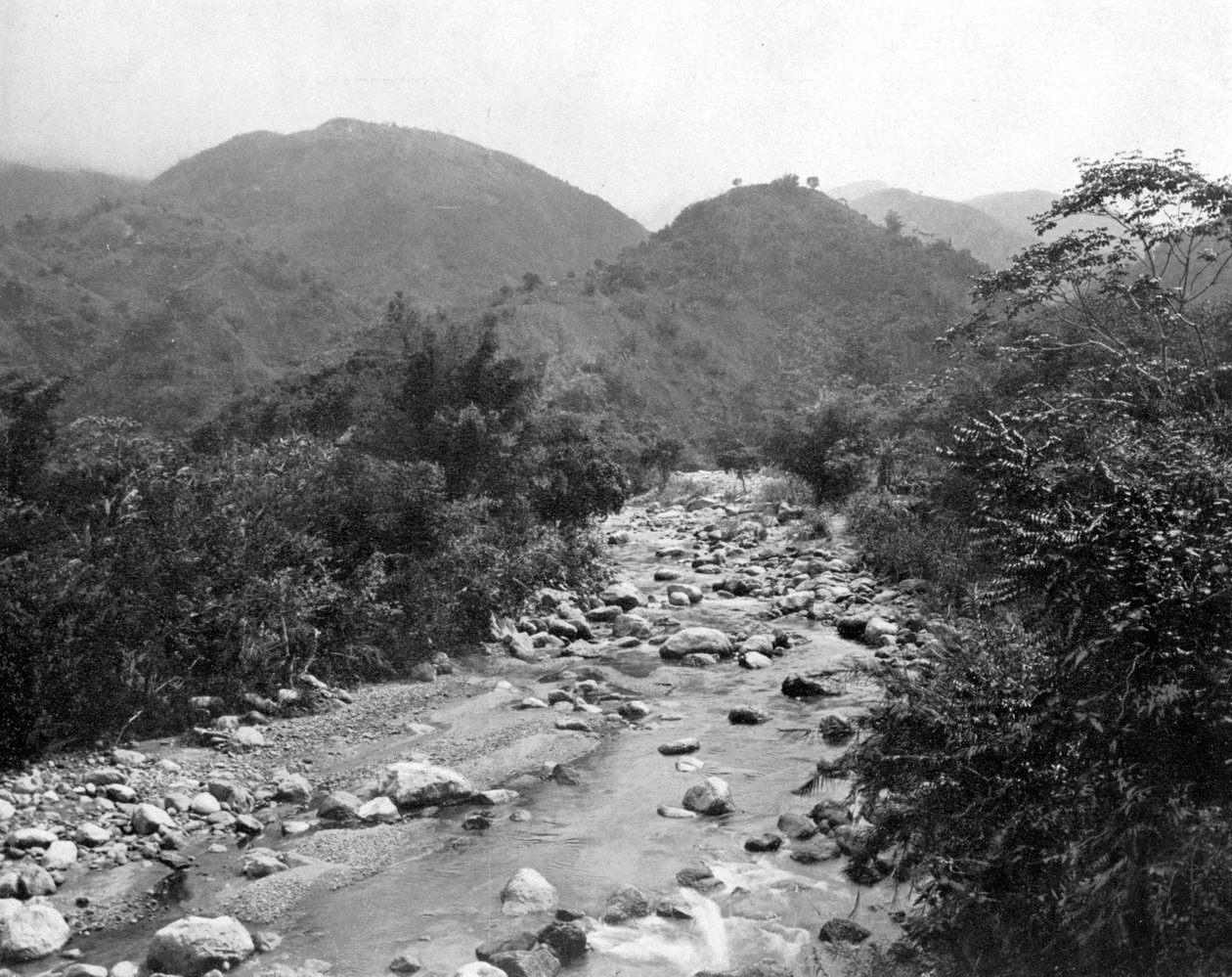 A Wag-River, Castleton, Jamaica, 1905. alkotó: Adolphe Duperly and Son