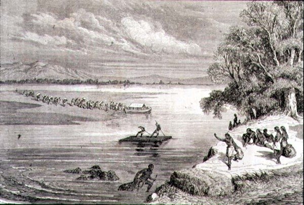 Átkelés a Colorado folyón az 1860-as években (metszet) alkotó: Adolphe Gusman