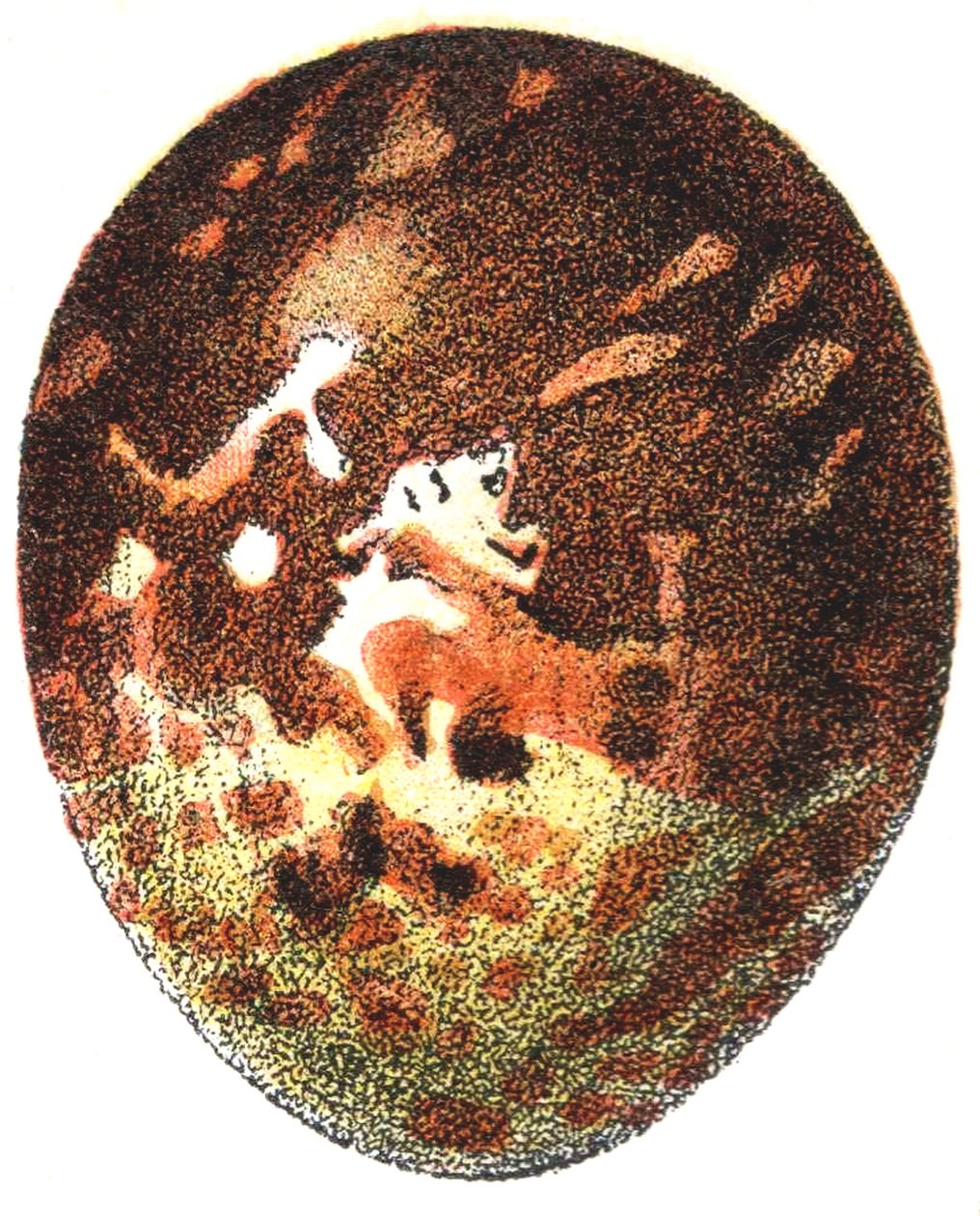 Mézes ölyv (Pernis apivorus) tojása, 1923 alkotó: Adolphe Philippe Millot