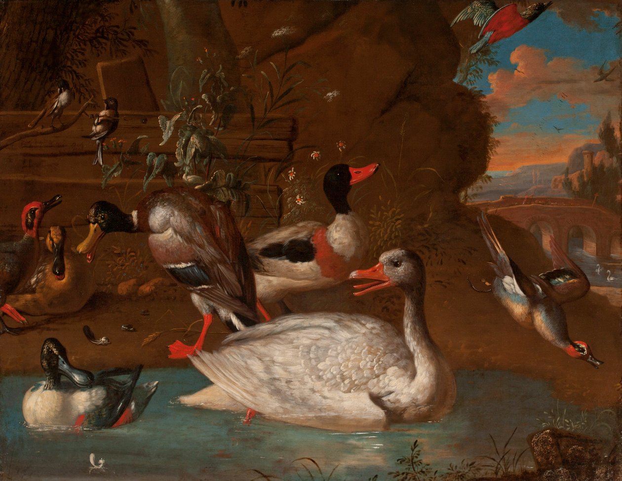Norvég fehérlúd kagyló, tőkés réce, lapátos, kékeszöld és hosszúfarkú cinegék által körülvéve olaszos tájon Alkonyatban, 1703 alkotó: Adriaen van Oolen
