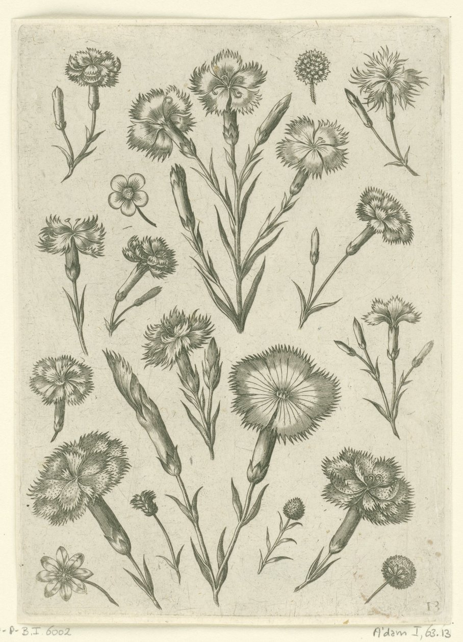 Különféle haragok Florilegium (sorozat címe) alkotó: Adriaen Collaert