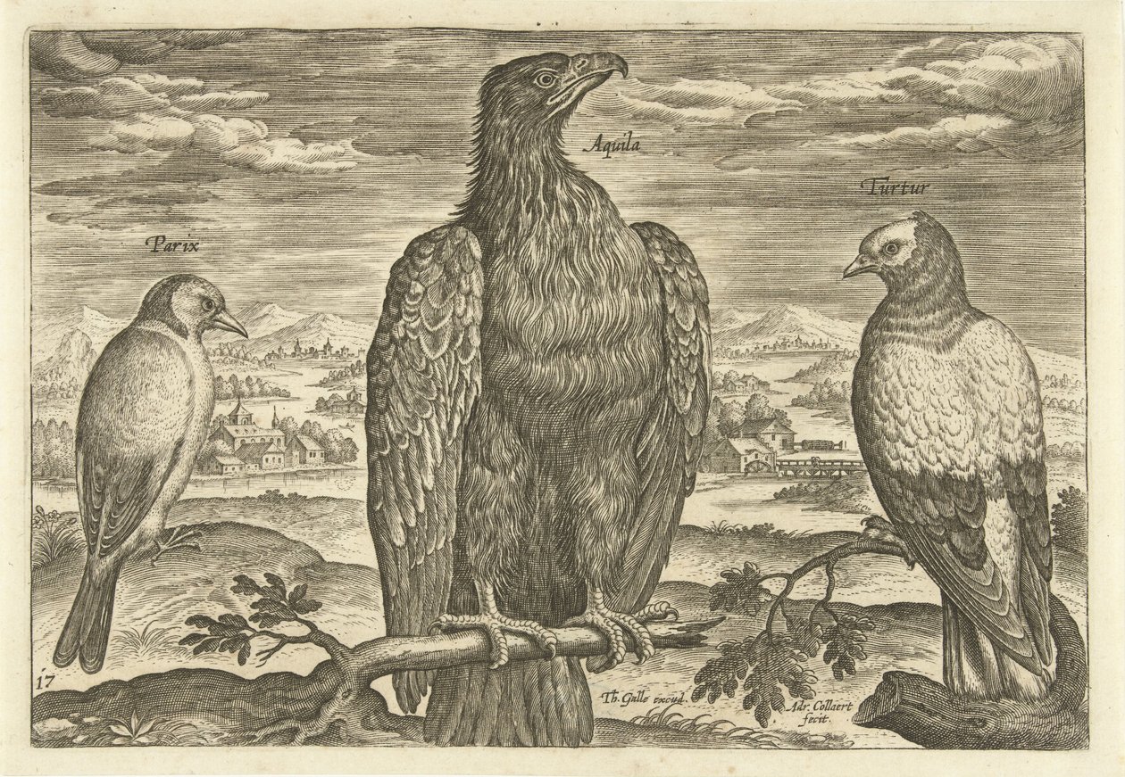 Három madár a tájban Avium Vivae (sorozat címe) Madarak (sorozat címe) alkotó: Adriaen Collaert
