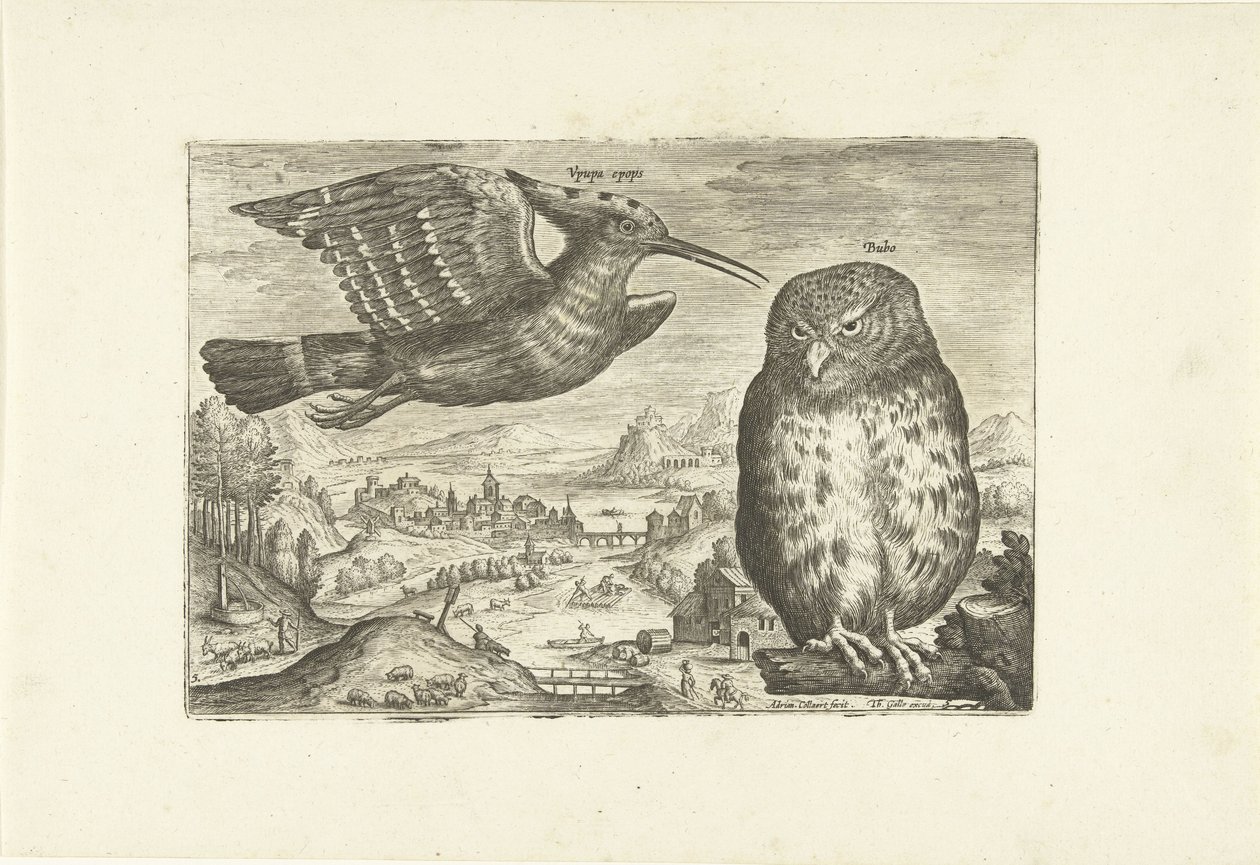Néhány madár a tájban Madarak (sorozat címe) Avivm vivae (sorozat címe) alkotó: Adriaen Collaert