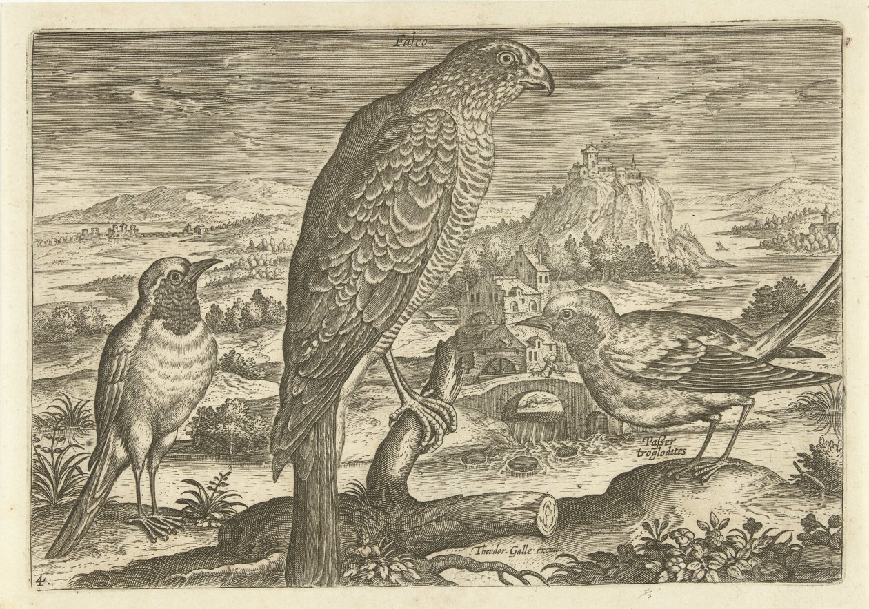 Néhány madár a tájban Madarak (sorozat címe) Avivm vivae (sorozat címe) alkotó: Adriaen Collaert