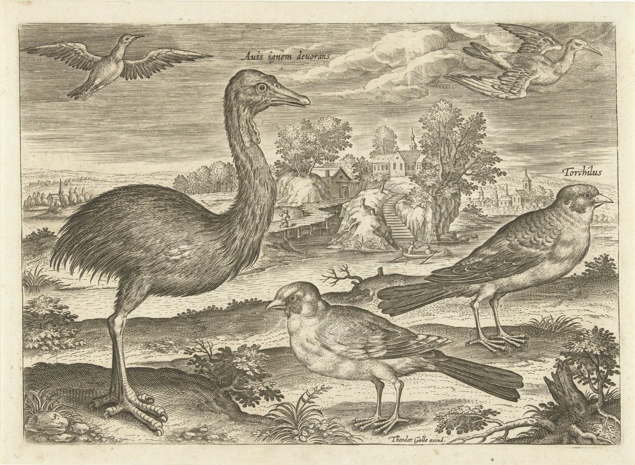 Néhány madár a tájban Madarak (sorozat címe) Avium vivae (sorozat címe) alkotó: Adriaen Collaert