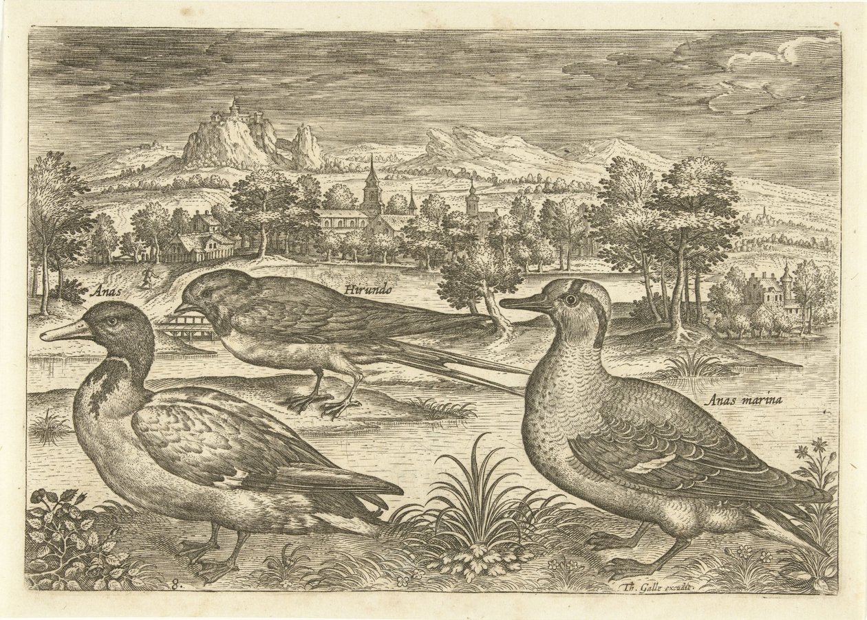 Enkele vogels in een landschap Vogels (series title) Avivm vivae (series title)   1371050   hu       hungarian Successfully Translated  Original: Saint Jean Baptiste. Peinture baroque de Michelangelo Merisi detto il Caravaggio (Le Caravage) Translat: Saint alkotó: Adriaen Collaert