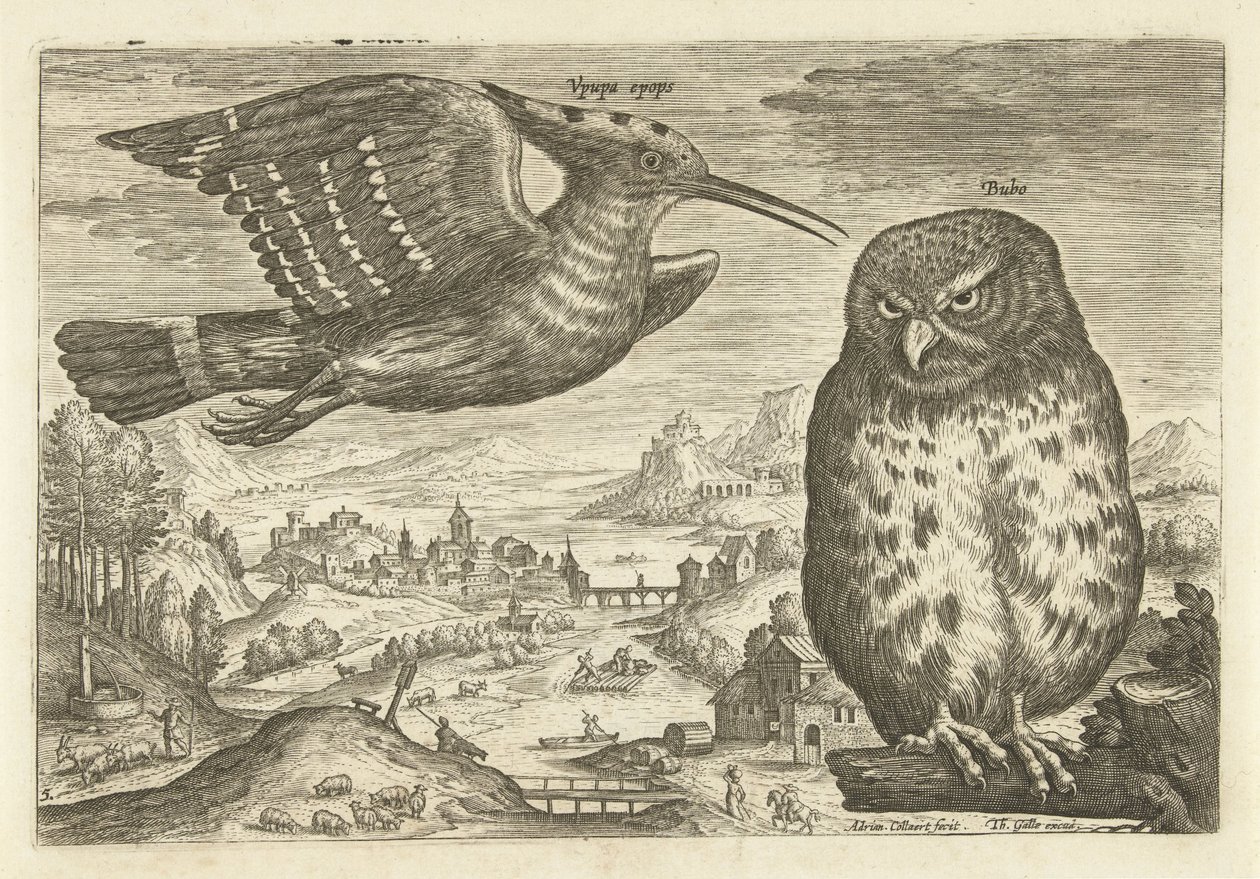 Néhány madár a tájban Madarak (sorozat címe) Avivm vivae (sorozat címe) alkotó: Adriaen Collaert
