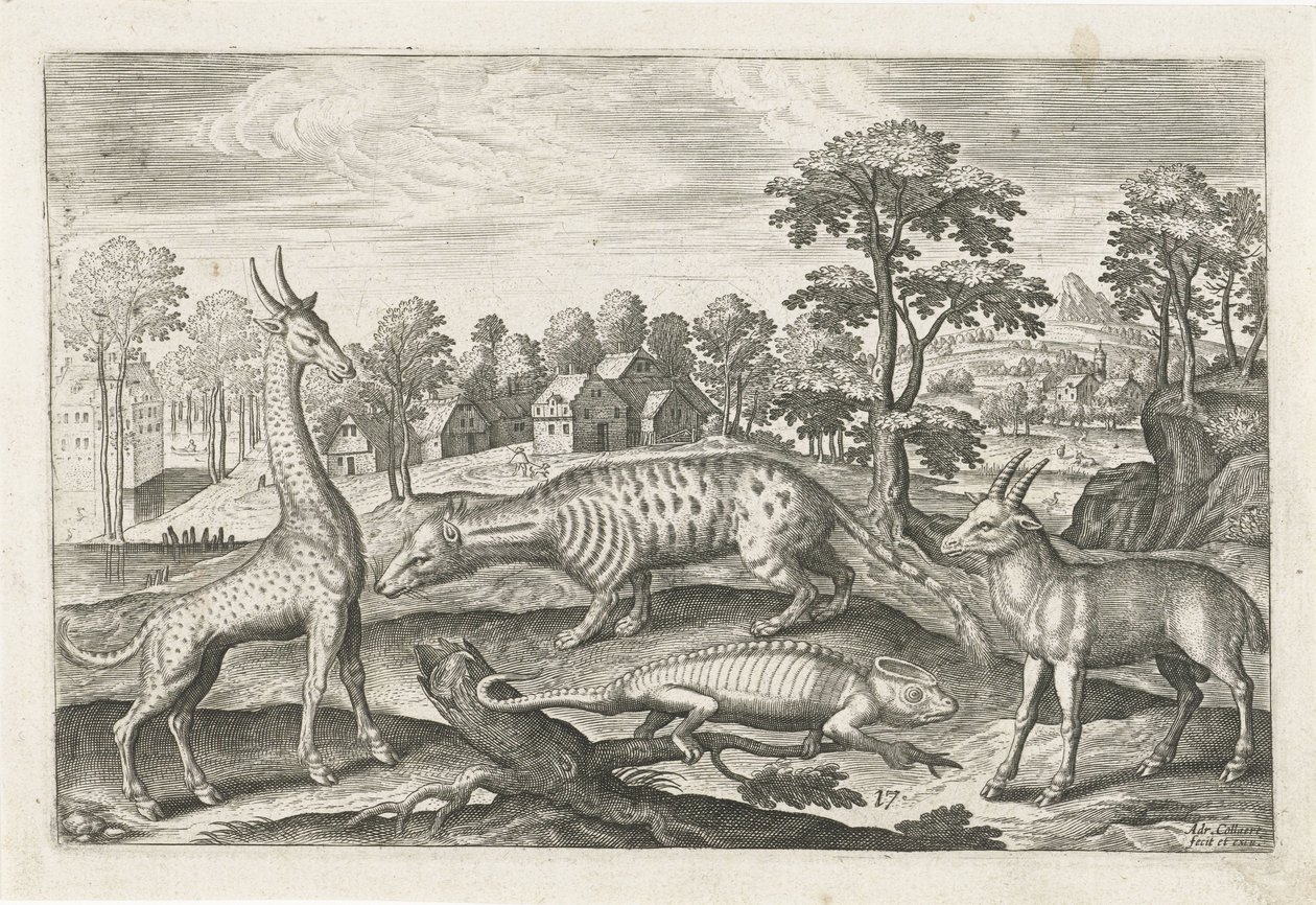 egzotikus állatok Négylábú állatok (sorozat címe) Animalivm Qvaddrvpedvm (sorozat címe) alkotó: Adriaen Collaert