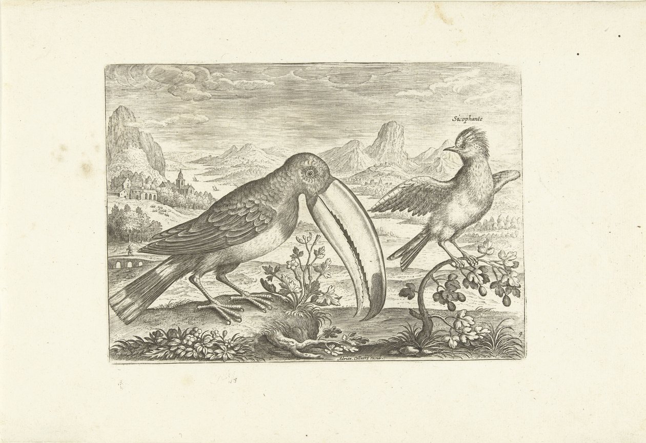 Két egzotikus madár a tájon Madarak (sorozat címe) Avium vivae (sorozat címe) alkotó: Adriaen Collaert