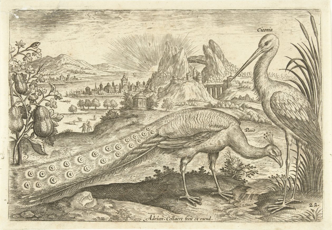 Két madár a tájban Avium Vivae (sorozat címe) Madarak (sorozat címe) alkotó: Adriaen Collaert