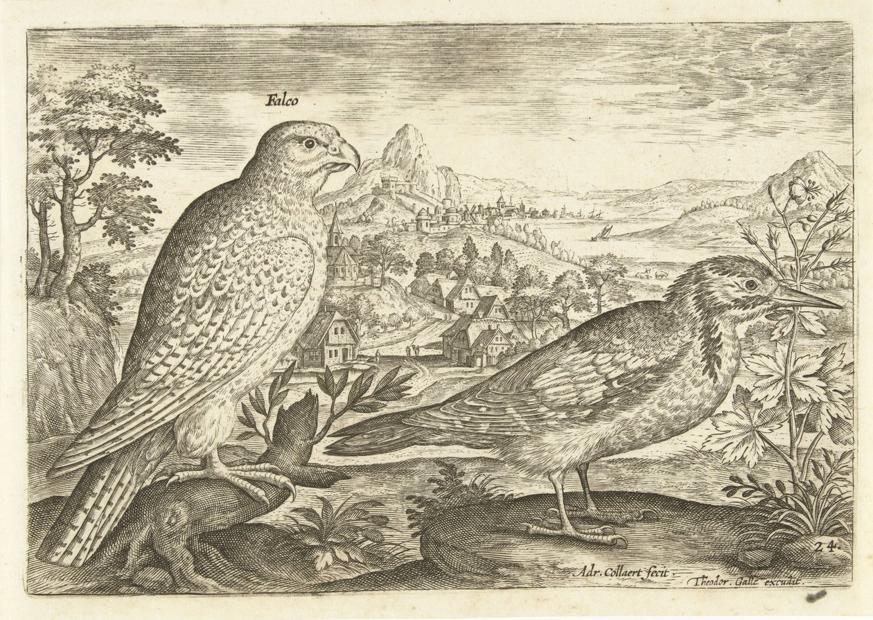 Két madár a tájban Avium Vivae (sorozat címe) Madarak (sorozat címe) alkotó: Adriaen Collaert