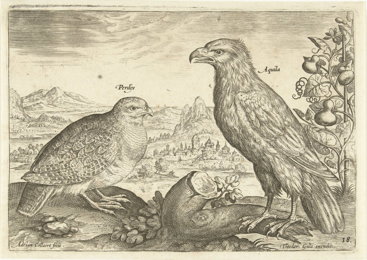 Két madár a tájban Avium Vivae (sorozat címe) Madarak (sorozat címe) alkotó: Adriaen Collaert