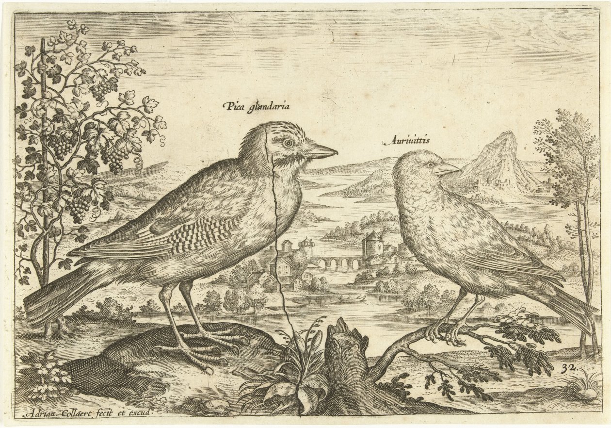 Két madár a tájban Madarak (sorozat címe) Avium Vivae (sorozat címe) alkotó: Adriaen Collaert
