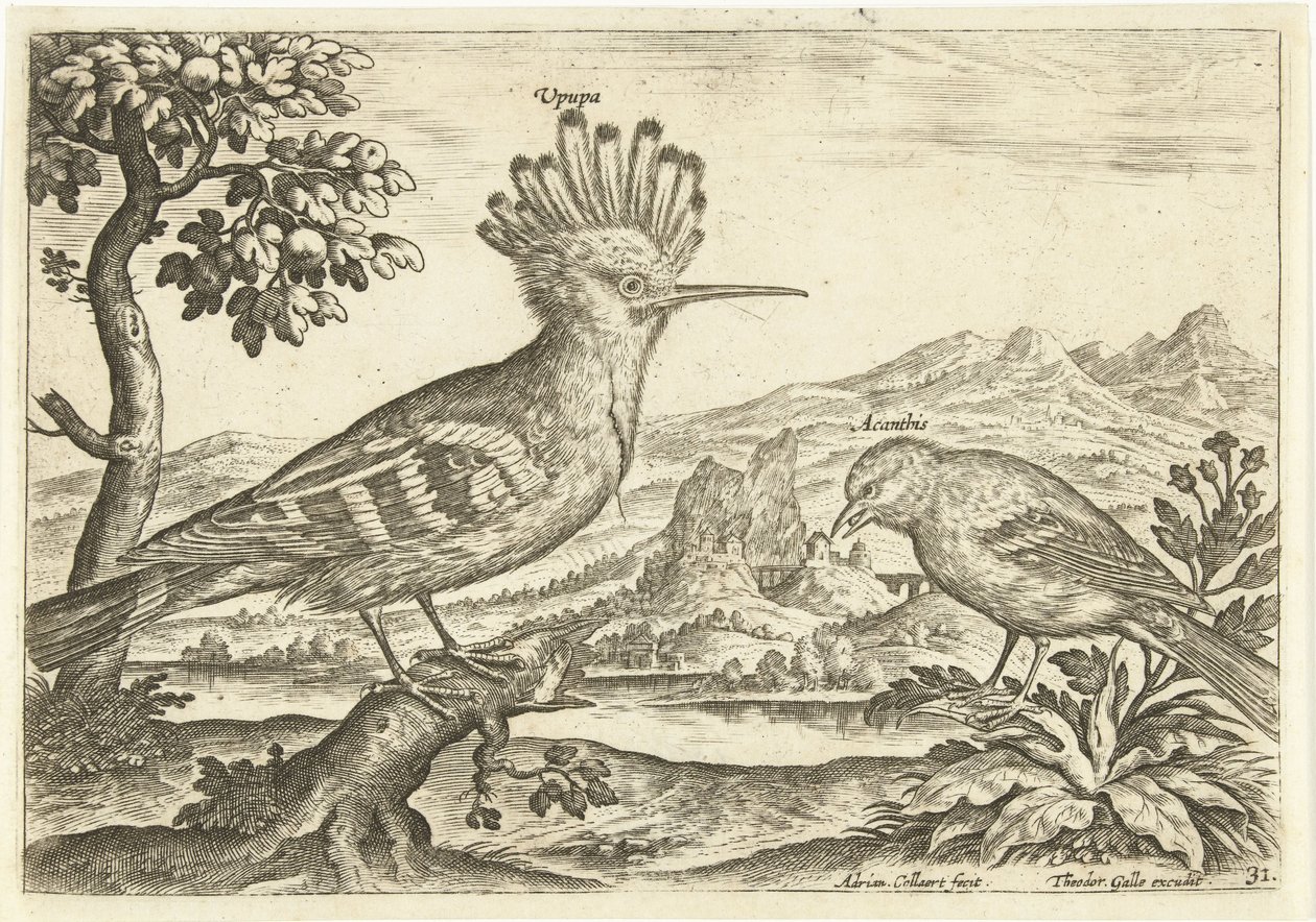 Két madár a tájban Madarak (sorozat címe) Avium Vivae (sorozat címe) alkotó: Adriaen Collaert