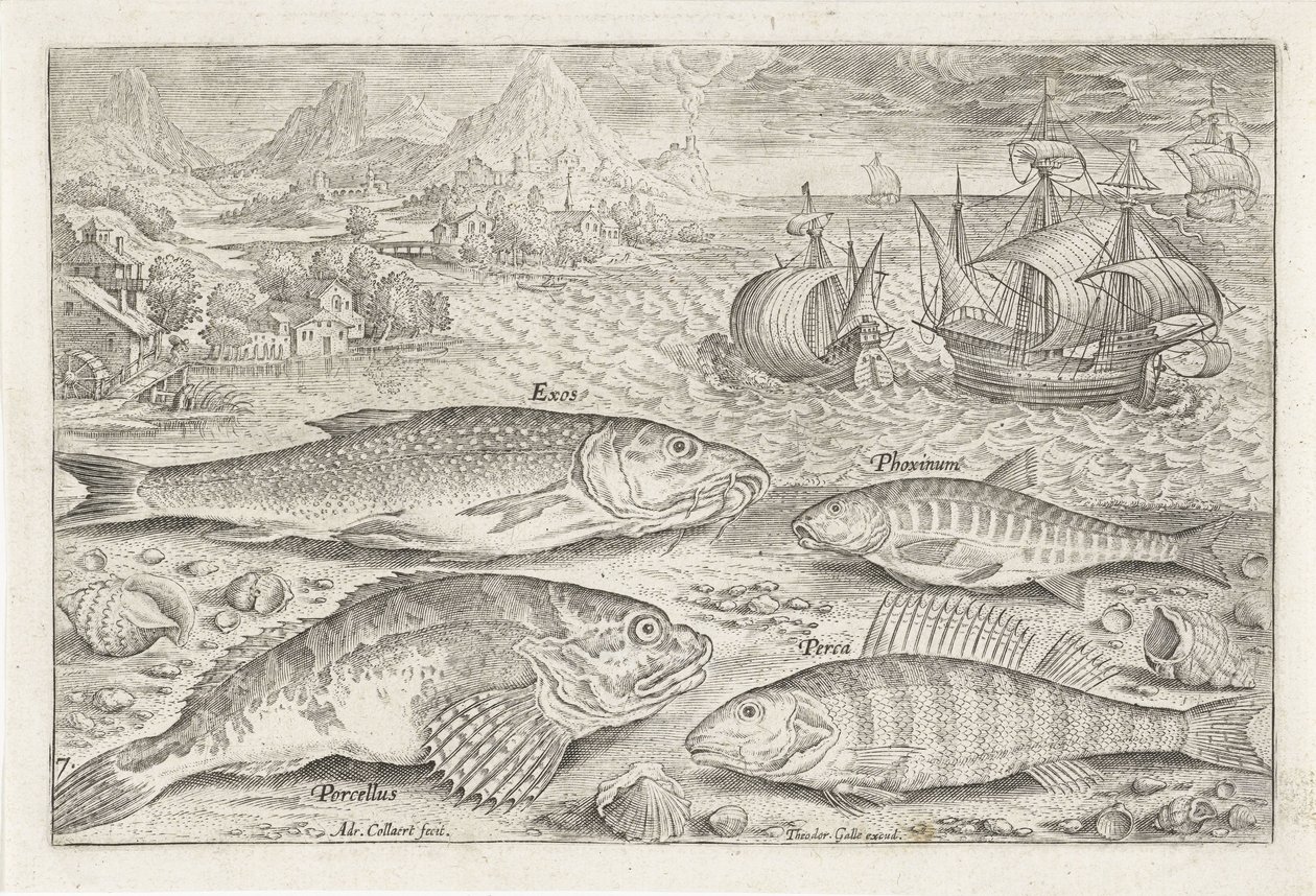 Vier vissen op het strand Vissen (series title) Piscivm vivae icones (series title)   1369864   hu       hungarian Successfully Translated  Original: Loading the Canon, plate eleven from The Military Exercises Translat: Loading the Canon, plate eleven from alkotó: Adriaen Collaert