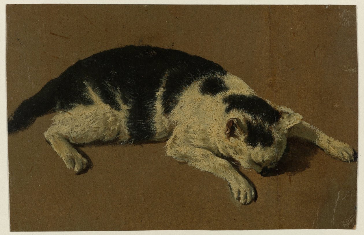 Macska feküdt fejjel az első lábak között alkotó: Adriaen van de Velde (attributed to)