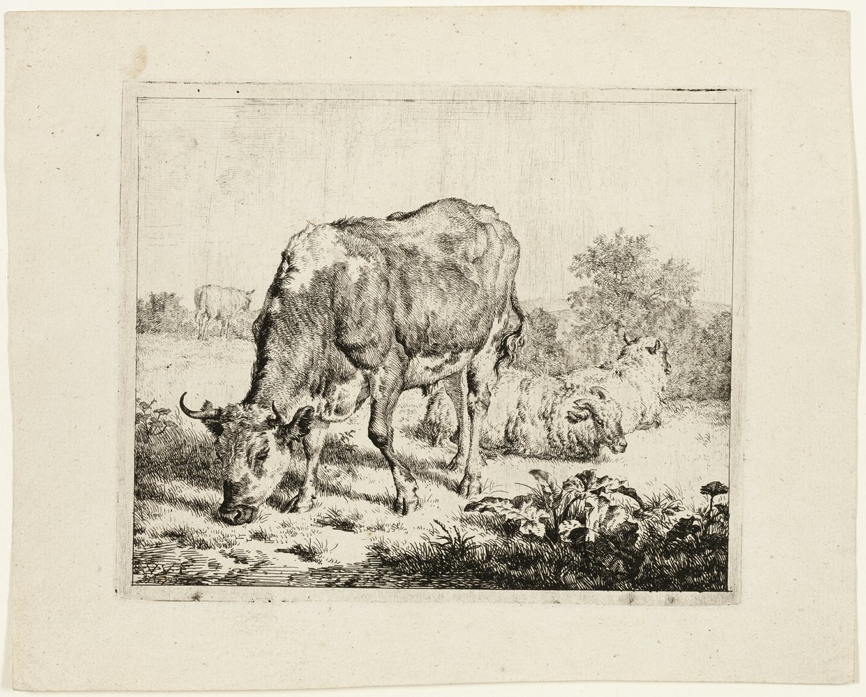 Bika legeltetés és három bárány alkotó: Adriaen van de Velde